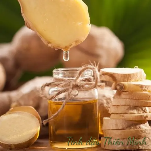 Công dụng của tinh dầu gừng