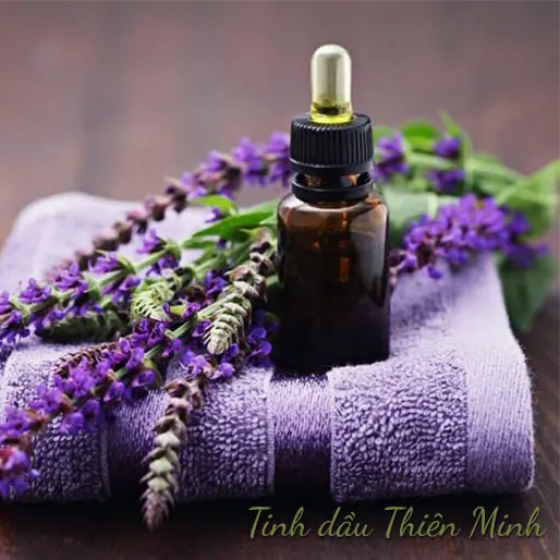 Công dụng của tinh dầu hoa oải hương